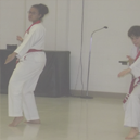 Fall Dan Test Image 4